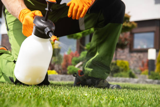 Best Best Pest Control Companies  in Rutledge, TN