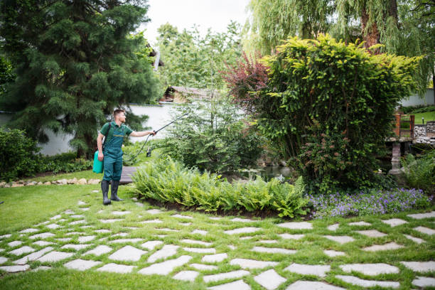 Best Best Pest Control Companies  in Rutledge, TN