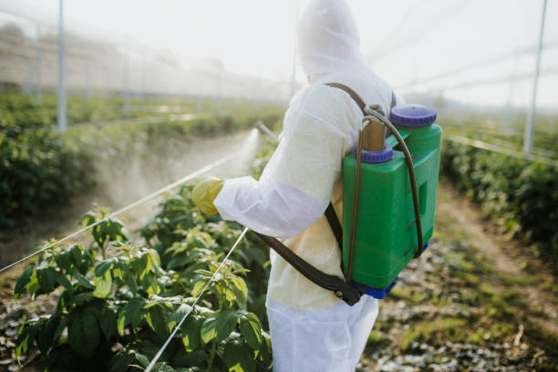 Best Pest Control Near Me  in Rutledge, TN